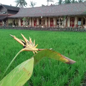 Rice Padi Artha Penzion